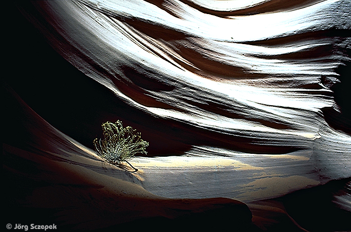 Im Slotcanyon Buckskin Gulch