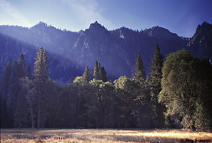 Morgendliches Streiflicht auf Cooks Meadow