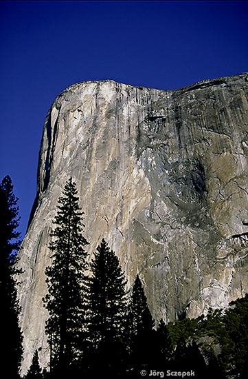 Die hohe, glatte Felsflanke des El Capitan im Morgenlicht