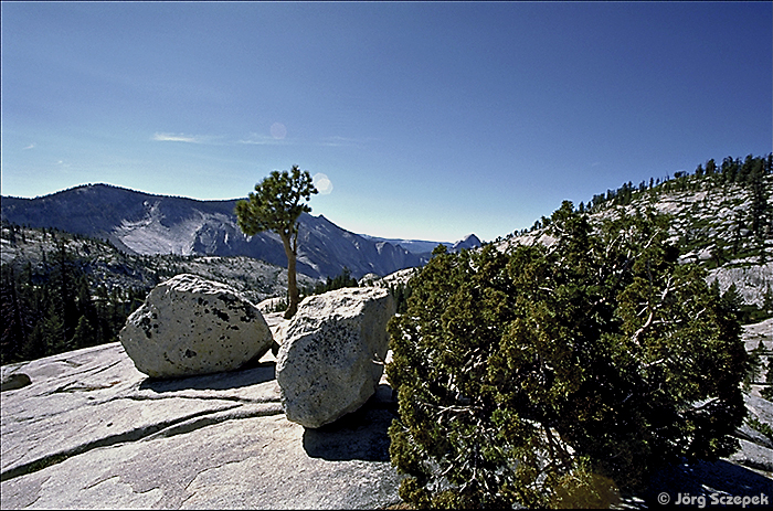 Gewaltige Findlinge und Wacholderbüsche am Olmsted Point