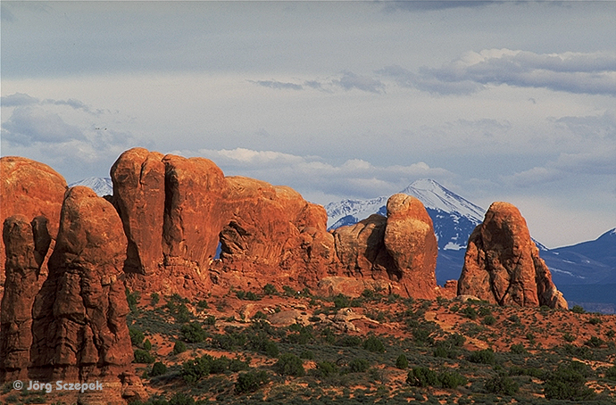 Die Felsformation Parade of Elephants im Arches NP