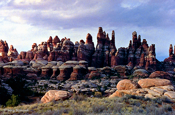 Canyonlands NP, die Formationen der Needles im Licht der untergehenden Sonne
