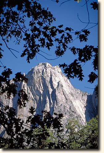 Yosemite NP: Cooks Meadow