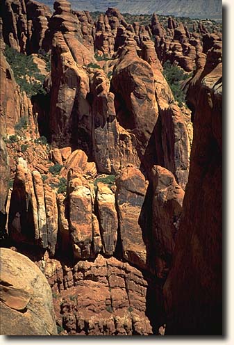 Arches NP : Devils Garden