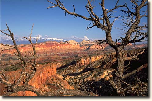 Capitol Reef NP: Goosenecks Overlook