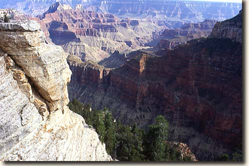 Grand Canyon NP: Blick vom Cape Royal