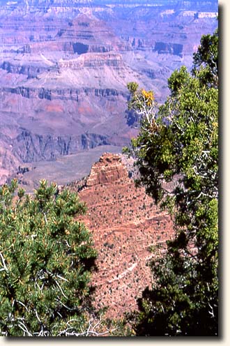 Grand Canyon NP: Blick vom Bright Angel Point