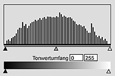 Schemazeichnung eines Histogramms