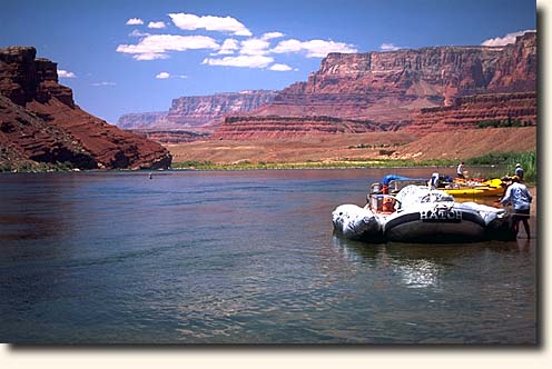 Lees Ferry und der Colorado River