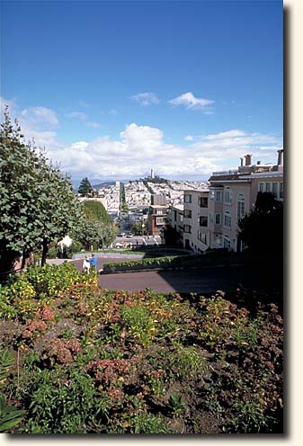 San Francisco: Lombard Street