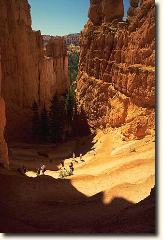 Bryce Canyon NP: Navajo Loop Trail