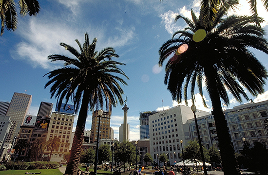 Blick auf den Union Square mit Palmen und Grünflächen im Herzen San Franciscos