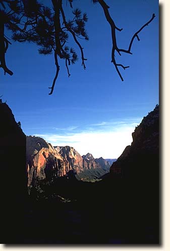 Zion NP: Scouts Lookout
