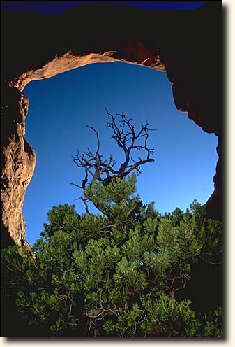 Arches NP : Turret Arch