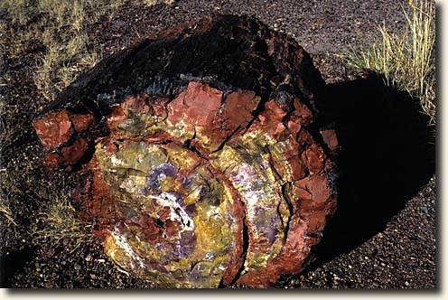 Petrified Forest NP, Foto The Teepees
