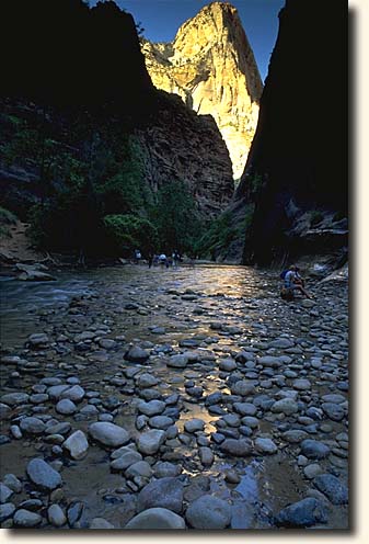 Zion NP: Virgin River Narrows