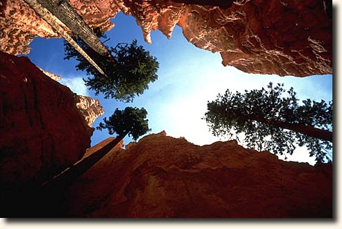 Bryce Canyon NP: Wall Street