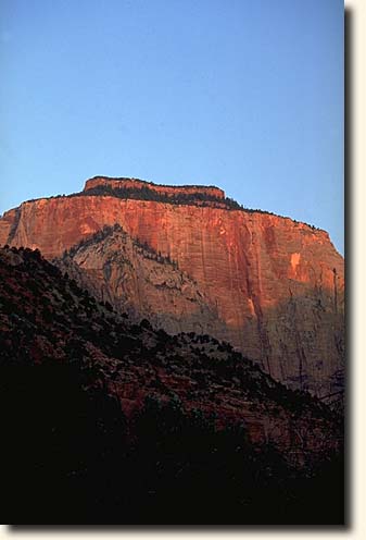 Zion NP: Der West Temple