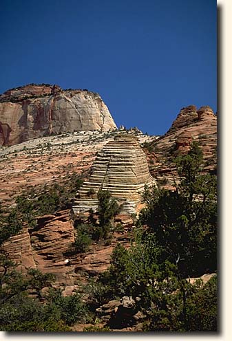 Zion NP: Auf der Mesa