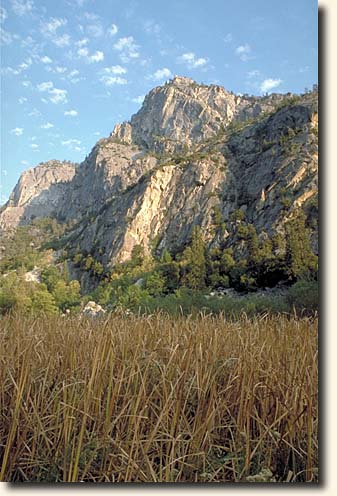 Kings Canyon NP: Zumwalt Meadow
