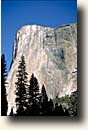 Yosemite NP : El Capitan Meadow